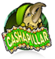 Cashapillar
